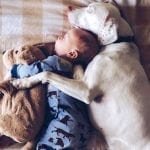 La mascota y el bebé
