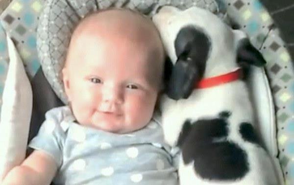Un adorable bebé y su cachorro cautivan en las redes sociales